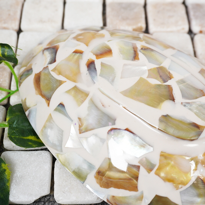 天然シェルトレー [オーバル型 / ミックス]【46987】 /アジアン