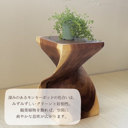 モンキーポッドウッド ツイストスツール